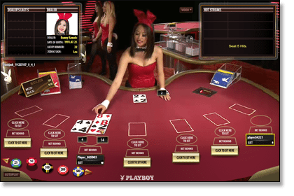 Platinum Play Live Dealer Casino (Playboy Bunny)