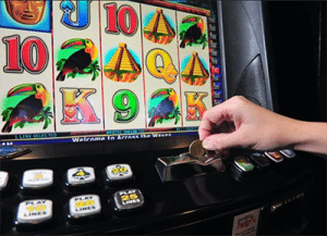 Cairns pokies losses revealed